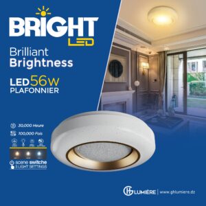 483844356_989929836571391_8231046140908265191_n